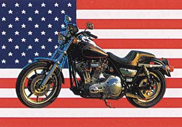 Harley on Stars and Stripes - Poster Flag