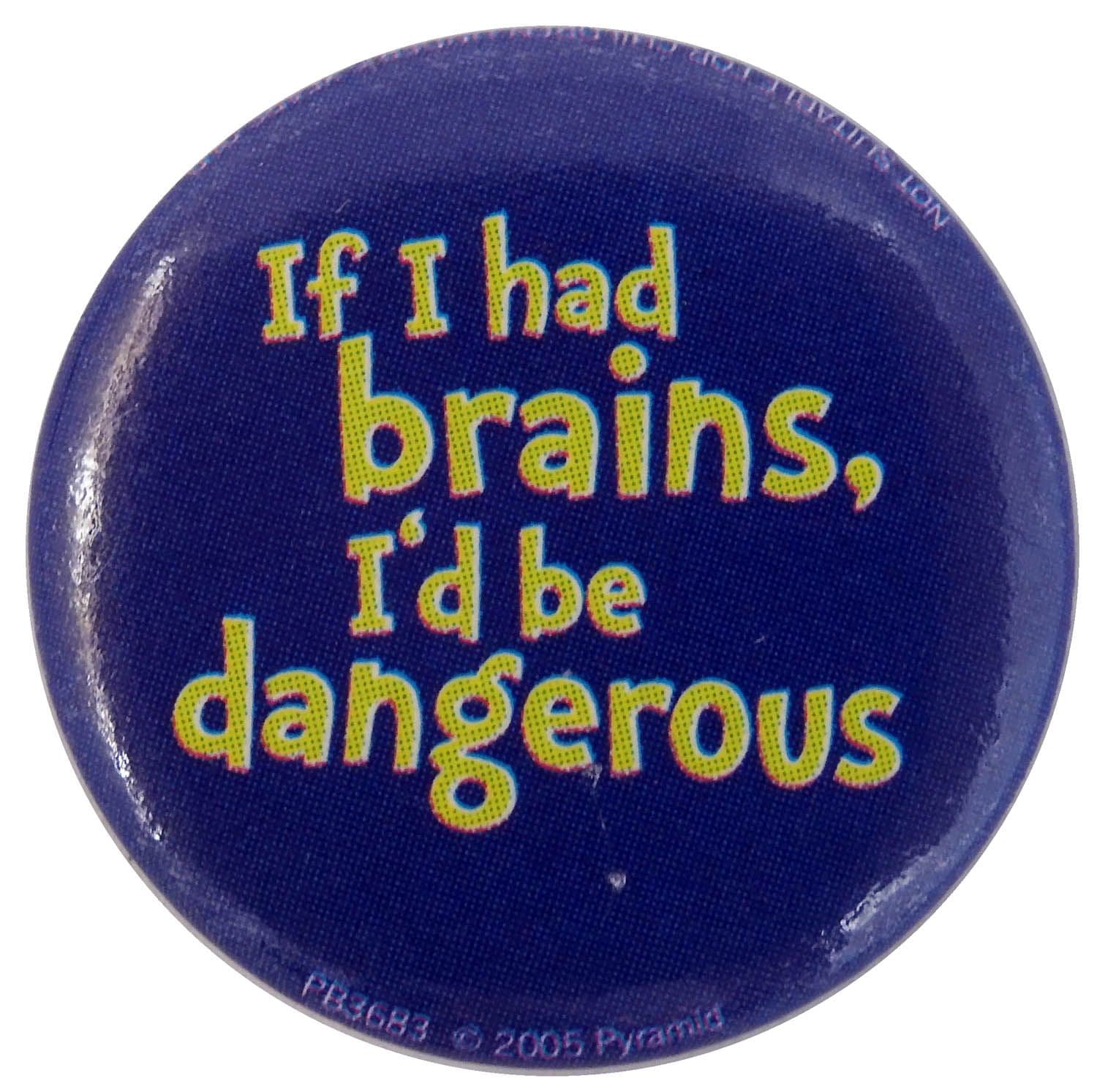 If I Had Brains - Slogan Button Badge