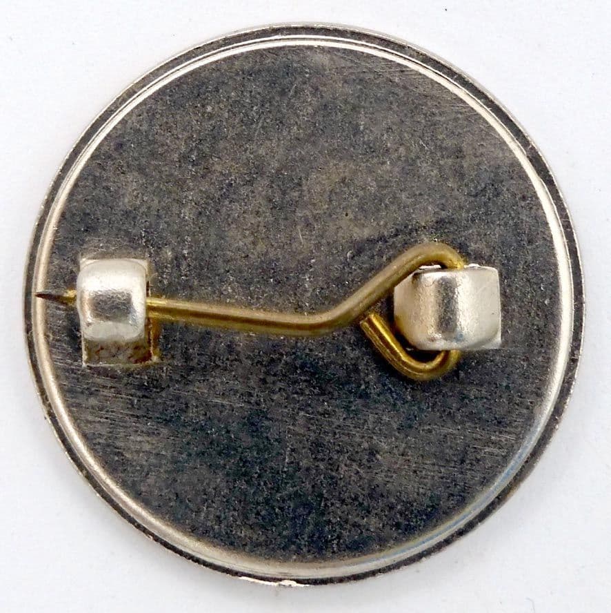 Paul Young - 'Paul' Prismatic Lapel Badge